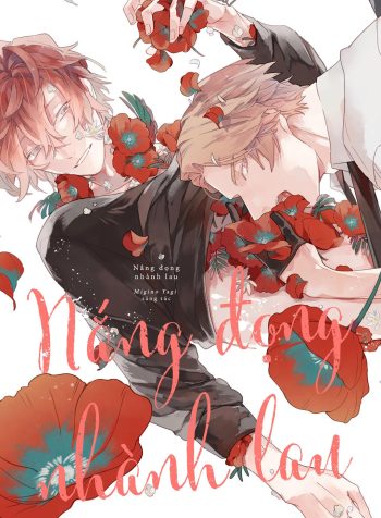 Nắng Đọng Nhành Lau