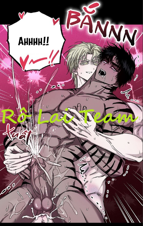 Vân Long Phong Hổ